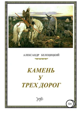 Александр Белоцицкий Камень у трёх дорог обложка книги