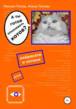 Алиса Попова А ты готов опознавать котов? Нейросети и котики – детям обложка книги