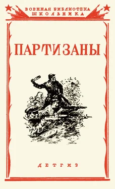 Коллектив авторов Партизаны Великой Отечественной войны советского народа обложка книги