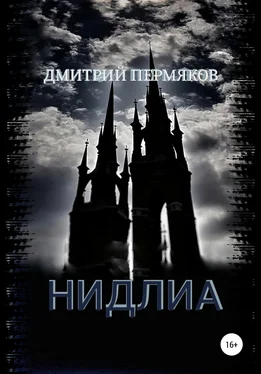Дмитрий Пермяков Нидлиа обложка книги