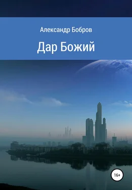 Александр Бобров Дар Божий обложка книги