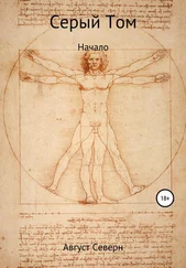 Август Северн - Серый Том. Начало