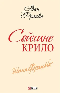 Іван Франко Сойчине крило обложка книги