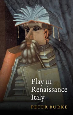 Peter Burke Play in Renaissance Italy обложка книги