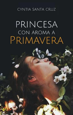 Abigail Cascas Princesa con aroma a primavera обложка книги