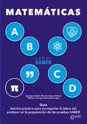 Ignacio Abdón Montenegro Aldana - Saber SABER Matemáticas. Guía del maestro