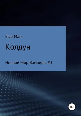 Elza Mars Колдун обложка книги