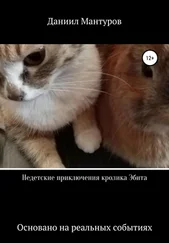 Даниил Мантуров - Недетские приключения кролика Эбита