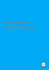 Михаил Климовицкий - Последняя надежда