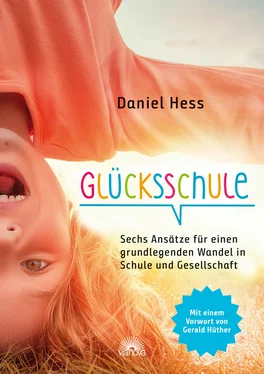 Daniel Hess Glücksschule обложка книги