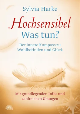 Sylvia Harke Hochsensibel Was tun? обложка книги