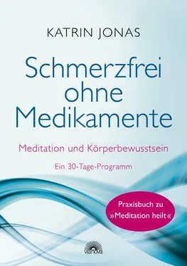 Katrin Jonas Schmerzfrei ohne Medikamente обложка книги