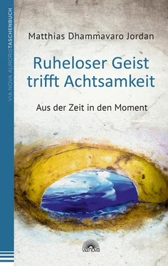 Matthias Dhammavaro Jordan Ruheloser Geist trifft Achtsamkeit обложка книги