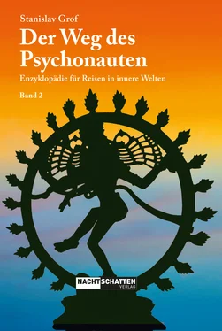 Stanislav Grof Der Weg des Psychonauten – Band 2 обложка книги