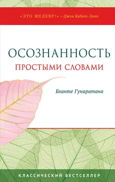 Бханте Хенепола Гунаратана Осознанность простыми словами обложка книги