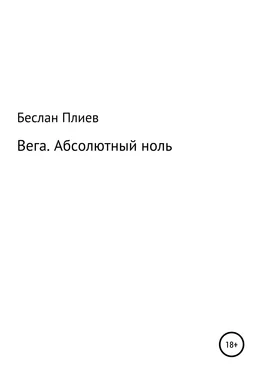 Беслан Плиев Вега. Абсолютный ноль обложка книги