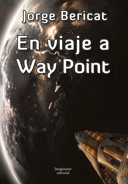 Jorge Bericat En viaje a Way Point обложка книги