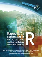 José Luis Hernández Stefanoni - Mapeo de la biomasa aérea de los bosques mediante datos de sensores remotos y R