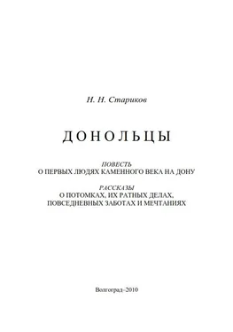 Николай Стариков Донольцы. Повесть о первых людях каменного века на Дону обложка книги