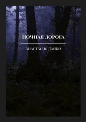 Анастасия Данко - Ночная дорога