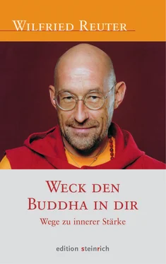 Wilfried Reuter Weck den Buddha in dir обложка книги