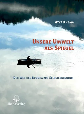 Ayya Khema Unsere Umwelt als Spiegel обложка книги