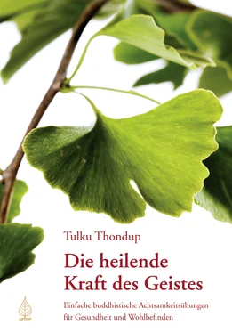 Tulku Thondup Die heilende Kraft des Geistes обложка книги