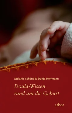 Melanie Schöne Doula-Wissen rund um die Geburt обложка книги