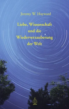 Jeremy W. Hayward Liebe, Wissenschaft und die Wiederverzauberung der Welt обложка книги