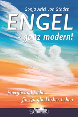 Sonja Ariel von Staden Engel - ganz modern! обложка книги