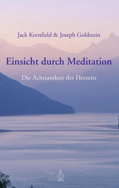 Joseph Goldstein Einsicht durch Meditation обложка книги
