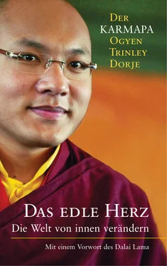 Karmapa Dorje Ogyen Trinley Das edle Herz обложка книги