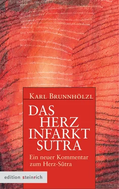 Karl Brunnhölzl Das Herzinfarkt-Sutra обложка книги