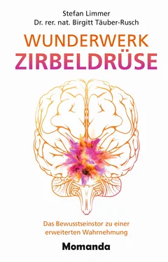 Birgitt Täuber-Rusch Wunderwerk Zirbeldrüse обложка книги