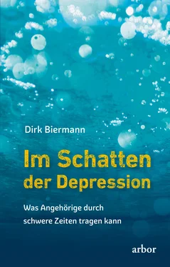 Dirk Biermann Im Schatten der Depression обложка книги