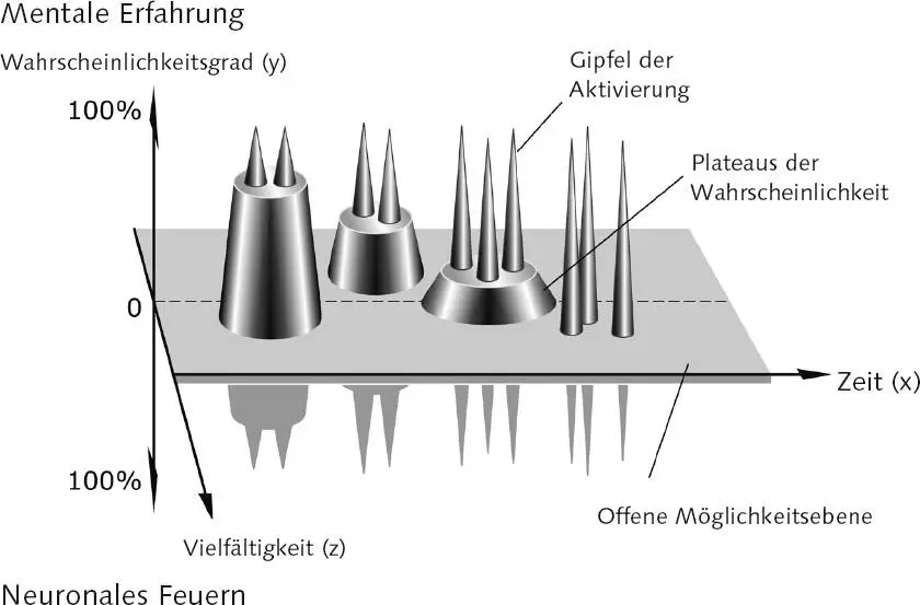 Die Möglichkeitsebene Aber wenn der Energie und Informationsfluss die Quelle - фото 10