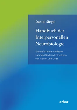 Daniel Siegel Handbuch der Interpersonellen Neurobiologie обложка книги