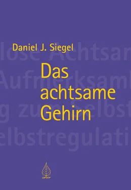 Daniel Siegel Das achtsame Gehirn обложка книги