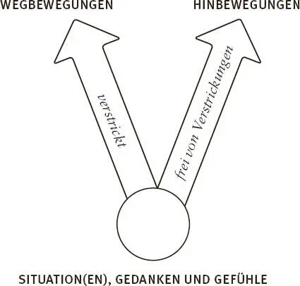 Unten und auf der linken Seite des Diagramms sind die Hauptzüge fast aller - фото 16