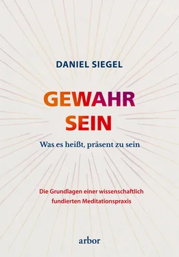 Daniel Siegel GEWAHR SEIN обложка книги
