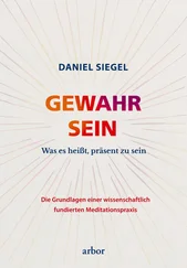 Daniel Siegel - GEWAHR SEIN