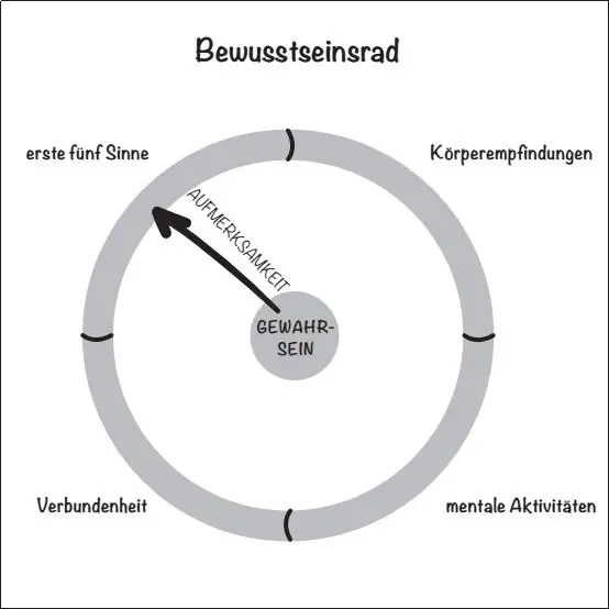 Langsam bewegen wir diese einzelne Aufmerksamkeitsspeiche um den Kreis herum - фото 5