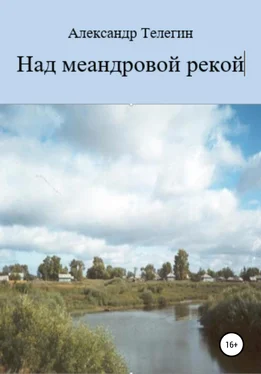 Александр Телегин Над меандровой рекой обложка книги