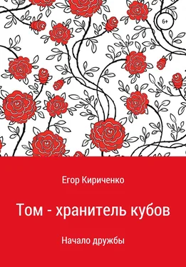 Егор Кириченко Том – хранитель кубов обложка книги