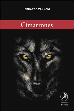 Eduardo Zannoni Cimarrones обложка книги