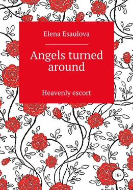 Elena Esaulova Angels turned around (Heavenly escort) обложка книги