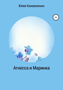 Юлия Коноваленко Агнесса и Маринка обложка книги