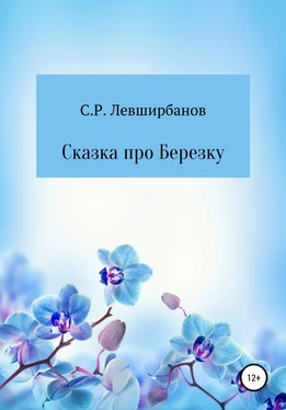 Сергей Левширбанов Сказка про Березку обложка книги