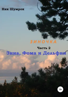 Ник Шумрок Зиночка. Часть 2. Зина, Фома и Дельфин обложка книги