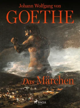 Johann Wolfgang von Goethe Das Märchen обложка книги